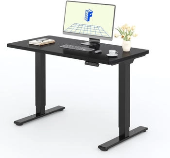 Flexispot Basic Plus EF1 120x80cm schwarz