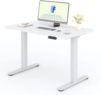 Flexispot Basic Plus EF1 120x80cm weiß