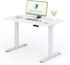 Flexispot Basic Plus EF1 120x80cm
