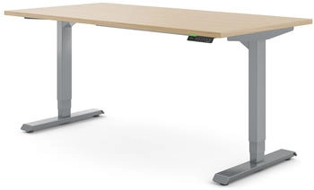 Ergotopia Desktopia Pro X Dekor 160x80cm ahorn/grau