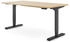 Ergotopia Desktopia Pro X Massiv 160x80cm
