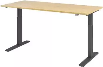 Hammerbacher XMKA19 Sitz-Steh-Schreibtisch elektrisch h&ouml;henverstellbar 180x80cm Ahorn/Graphit (VXMKA19/3/G)