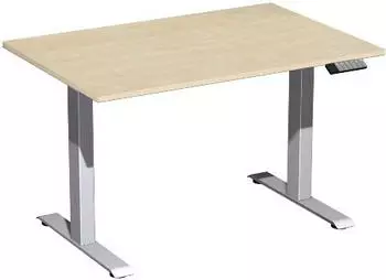 Geramöbel Elevate Plus Sitz-Steh-Schreibtisch 120x80cm, elektrisch höhenverstellbar, Ahorn/Silber (S-08K1208-AS)