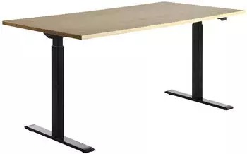 Topstar E-Table Elektrisch h&ouml;henverstellbarer Schreibtisch 160x80cm, lichtgrau/schwarz (TTS16080SG)