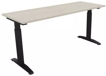 Soennecken Schreibtisch Kufe Quadrat 160x60cm h&ouml;henverstellbar 65-85cm Akazie hell/Anthrazit (810024772)