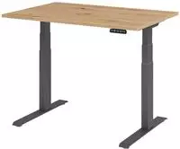 Hammerbacher-Sitz-Steh-Schreibtisch el.120x80cm Asteiche/G-VXDKB12/R/G