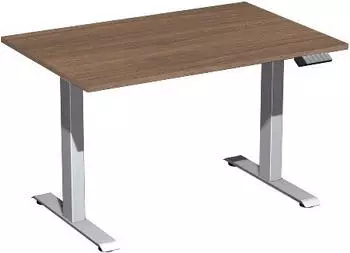Geramöbel Elevate Basic Elektrisch höhenverstellbarer Schreibtisch 120x80cm Anthrazit/Nussbaum (N-08J1208-NA)