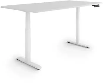 eSmart Germany EZX-132WG Elektrisch höhenverstellbarer Schreibtisch 160x80cm Hellgrau (175225059)