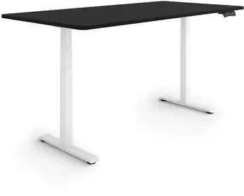 eSmart Germany EZX-132WB Elektrisch höhenverstellbarer Schreibtisch 160x80cm, schwarz (175225049)