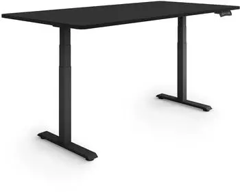 eSmart Germany EZX-132BB Elektrisch höhenverstellbarer Schreibtisch 160x80cm, schwarz (175225073)