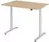 bümö XDLR elektrisch höhenverstellbarer Schreibtisch 120cm, Eiche/Silber (BU-XDLR-12-E-S)
