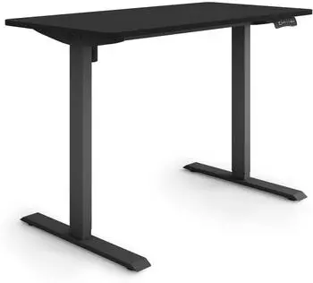 eSmart Germany ETX-121BB Steh-Sitz-Schreibtisch 120x60cm, schwarz (175189204)