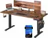 Songmics Elektrisch höhenverstellbarer Schreibtisch 160x70cm, 4 Speicherhöhen, USB-C (LSD136K01)