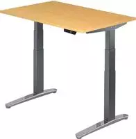 Sitz-Steh-Schreibtisch elektrisch 120x80cm Buche/Graphit-alu
