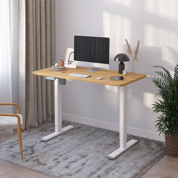 Flexispot EF1 100x60cm weiß/ahorn