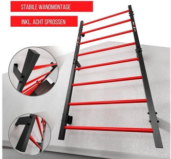 K-Sport Wall Bars With 8 Rungs