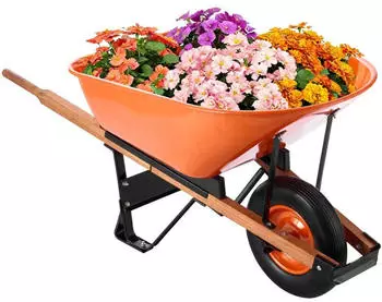 VEVOR Schubkarre 1-Rad 6cu ft, 150kg Tragkraft, Breites 40cm Rad, Metallgriff (WB-007A)