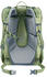 Deuter Cotogy (2024) grove ripple/grove