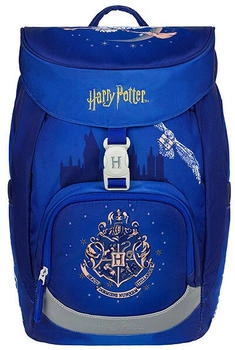Baagl Airy Harry Potter Hogwarts Hedwig