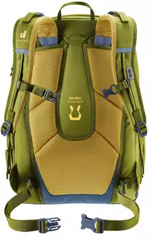 Deuter Cotogy (2026) cactus/kelp – Deuter Cotogy (2026) cactus/kelp überzeugt mit wasserabweisender Ausstattung