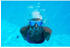 Zoggs Horizon Flex Titanium Swimming Mask (461109-CLWHMBL) transparent