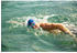 Zoggs Horizon Flex Titanium Swimming Mask (461109-CLWHMBL) transparent