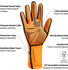 Buddyswim Trilaminate Warmth 2.5 Mm Neoprene Gloves (25081021-Orange-XS) orange