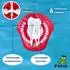 Freds Swim Academy Swimtrainer Pro Schwimmhilfe, Jugendliche & Erwachsene (10550)