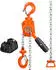 VEVOR Mini-Hebelzug Kettenzug 0,5T 3m Hubhöhe (Chain Hoist 1/2T 10FT)