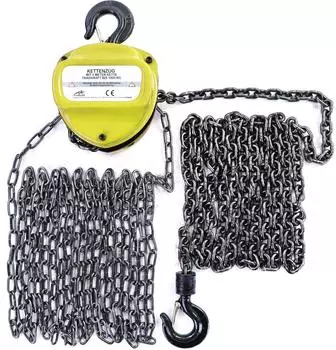 Ramroxx Kettenzug Profi Werkstatt 1000kg 4M Gelb (28812)