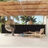 vidaXL Seitenmarkise Ausziehbar 117x600 cm