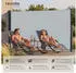 TecTake Seitenmarkise 180 x 300 cm Wetterfest Blickdicht 300 x 180 cm 300 x 9 x 180 cm Grau