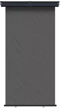 vidaXL Balkon Seitenmarkise 160 x 250 cm 100% Polyester Eisen Stahl