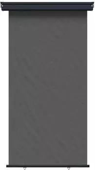 vidaXL Balkon Seitenmarkise 117 x 250 cm 100% Polyester Eisen Stahl