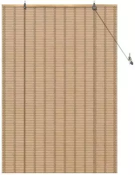 vidaXL Rollo mit Vorhängen Natur 120 x 160 cm Bambus 42006904