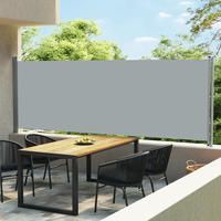 vidaXL Seitenmarkise Ausziehbar 600x160 cm Grau