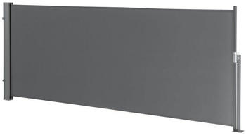 en.casa Seitenmarkise Montijo 300 x 100 cm grau (20726354)