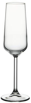 Pasabahce 36x Champagnerkelch Pasabahce Allegra, 195 ml Champagnergläser - 0735654444985