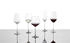 Schott-Zwiesel Sektglas Fortissimo 4er Set mit Moussierpunkt Kristallglas 240 ml