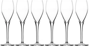 Stölzle Champagnerkelch CUVÉE 145 ml 6 Stück geeicht 0,1 l Füllstrich