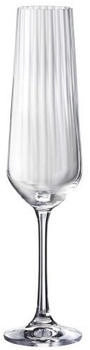 Bohemia Cristal Sektkelch ca. 200ml Glas satiniert