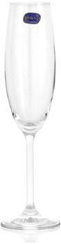 Bohemia 6 Flötenkelchen Glas Enoteca, 22cl - transparent Glas 1419822