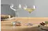 Leonardo PUCCINI Champagnerschale 350ml 6er-Set (069593)