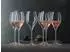 Spiegelau Sparkling Party Champagnerglas 450ml Kristallglas 6er-Set (4900327)