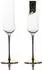 Intirilife Champagnerglas mit goldfarbenem Stiel, 200ml, 2er-Set (IL-100959-2)