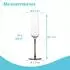Intirilife Champagnerglas mit goldfarbenem Stiel, 200ml, 2er-Set (IL-100959-2)