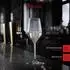 Spiegelau Lifestyle Champagnergläser Kristallglas 310ml 12er-Set