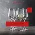 Spiegelau Lifestyle Champagnergläser Kristallglas 310ml 12er-Set
