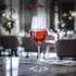 Spiegelau Lifestyle Wein- & Champagnergläser-Set, 12-teilig, Glas, transparent