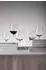 Schott-Zwiesel VUELO Champagnerglas 323ml, 6er Set, transparent